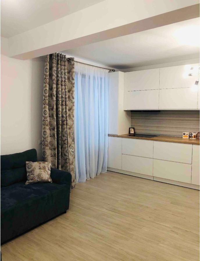 Apartment Luxury Рымнику-Вылча Экстерьер фото